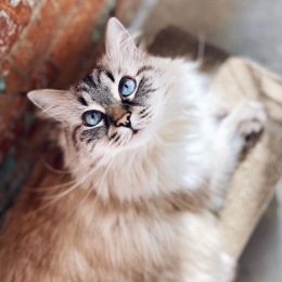 Instagram post from @loftsatwoodsidemill on August 26, 2022 13:33:36pm